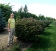 Burning Bush